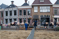 Klik hier om terug te keren