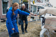 Klik hier om terug te keren