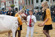 Klik hier om terug te keren
