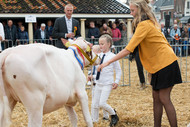 Klik hier om terug te keren
