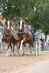 Klik hier om terug te keren