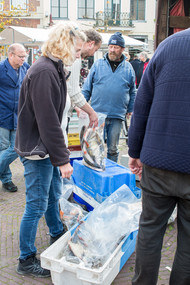 Klik hier om terug te keren