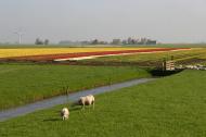 Klik hier om terug te keren