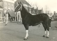 Klik hier om terug te keren