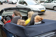 Klik hier om terug te keren