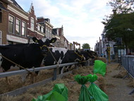 Klik hier om terug te keren