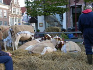 Klik hier om terug te keren