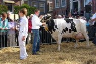 Klik hier om terug te keren