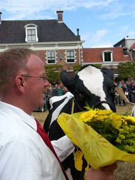 Klik hier om terug te keren