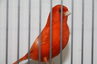 Klik hier om terug te keren