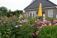 Klik hier om terug te keren