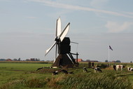 Klik hier om terug te keren