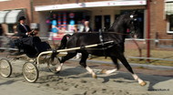 Klik hier om terug te keren