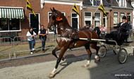 Klik hier om terug te keren