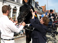 Klik hier om terug te keren