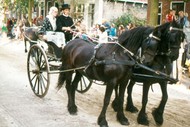 Klik hier om terug te keren