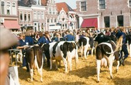 Klik hier om terug te keren