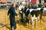 Klik hier om terug te keren