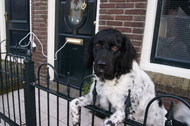 Klik hier om terug te keren