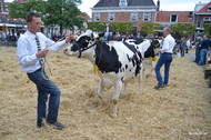 Klik hier om terug te keren