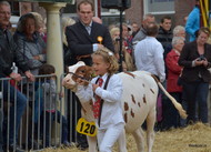 Klik hier om terug te keren