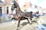 Klik hier om terug te keren