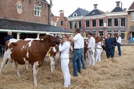 Klik hier om terug te keren