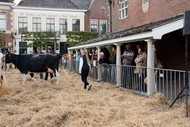 Klik hier om terug te keren