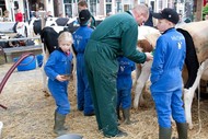 Klik hier om terug te keren
