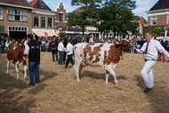 Klik hier om terug te keren