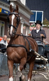 Klik hier om terug te keren