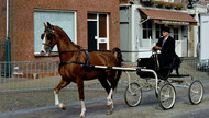 Klik hier om terug te keren
