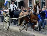 Klik hier om terug te keren