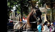 Klik hier om terug te keren
