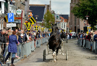 Klik hier om terug te keren