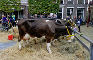 Klik hier om terug te keren