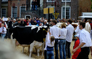 Klik hier om terug te keren