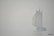 Klik hier om terug te keren