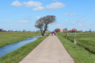 Klik hier om terug te keren