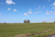 Klik hier om terug te keren