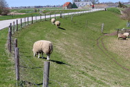 Klik hier om terug te keren