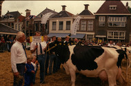 Klik hier om terug te keren