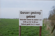 Klik hier om terug te keren
