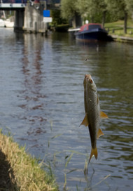 Klik hier om terug te keren
