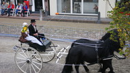 Klik hier om terug te keren