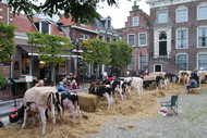 Klik hier om terug te keren