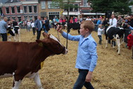 Klik hier om terug te keren
