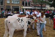 Klik hier om terug te keren