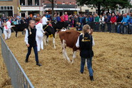 Klik hier om terug te keren