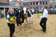 Klik hier om terug te keren